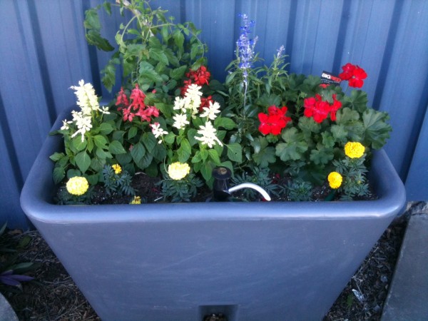 Small Garden Bed Tank